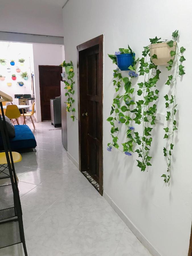Confortable Habitacion En Apartamento Amoblado Jardín Exterior foto